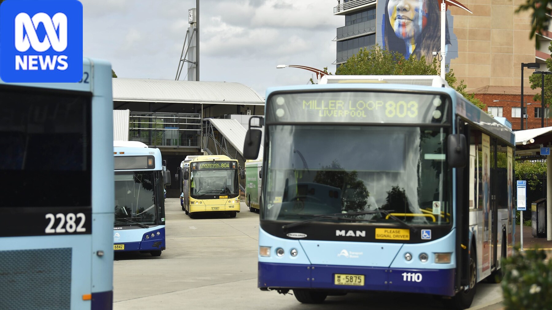 Double-decker buses travelling through suburban Sydney.