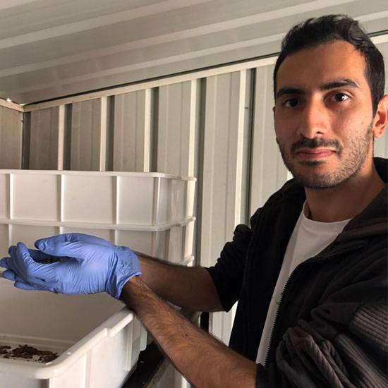Green Knott founder Anthony Gabrielian handling black soldier fly larvae in a food waste recycling facility.