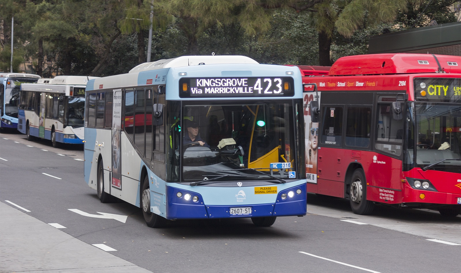A Transport for NSW-liveried Sydney bus in service. Greater Sydney's daily life depends on practical service details, not only large announcements.