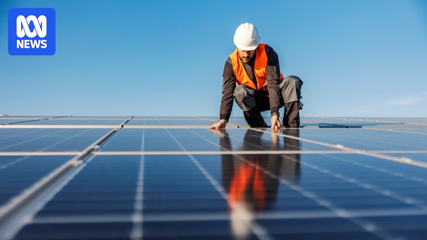 Solar panels installed on a roof. The NSW Opposition has proposed a Sydney City Renewable Energy Zone focused on urban solar and batteries.